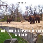 ベルリンの動物園、今日から営業再開