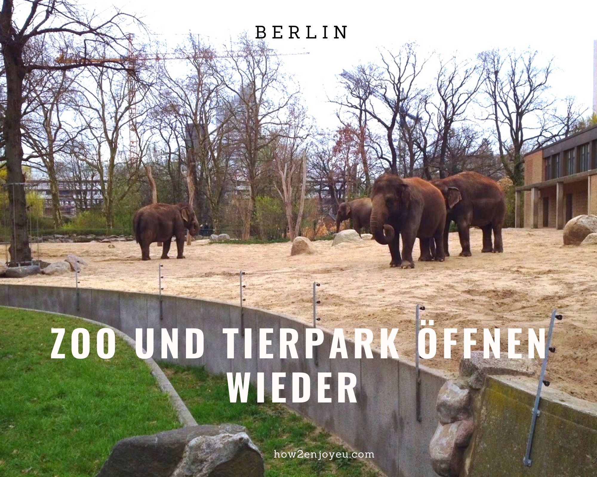 You are currently viewing ベルリンの動物園、今日から営業再開