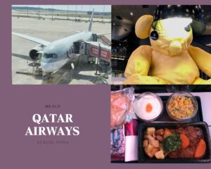 Read more about the article カタール航空エコノミークラスの機内食 ベルリン・ドーハ間 オススメはビーフ、デザートも衝撃的に美味しい