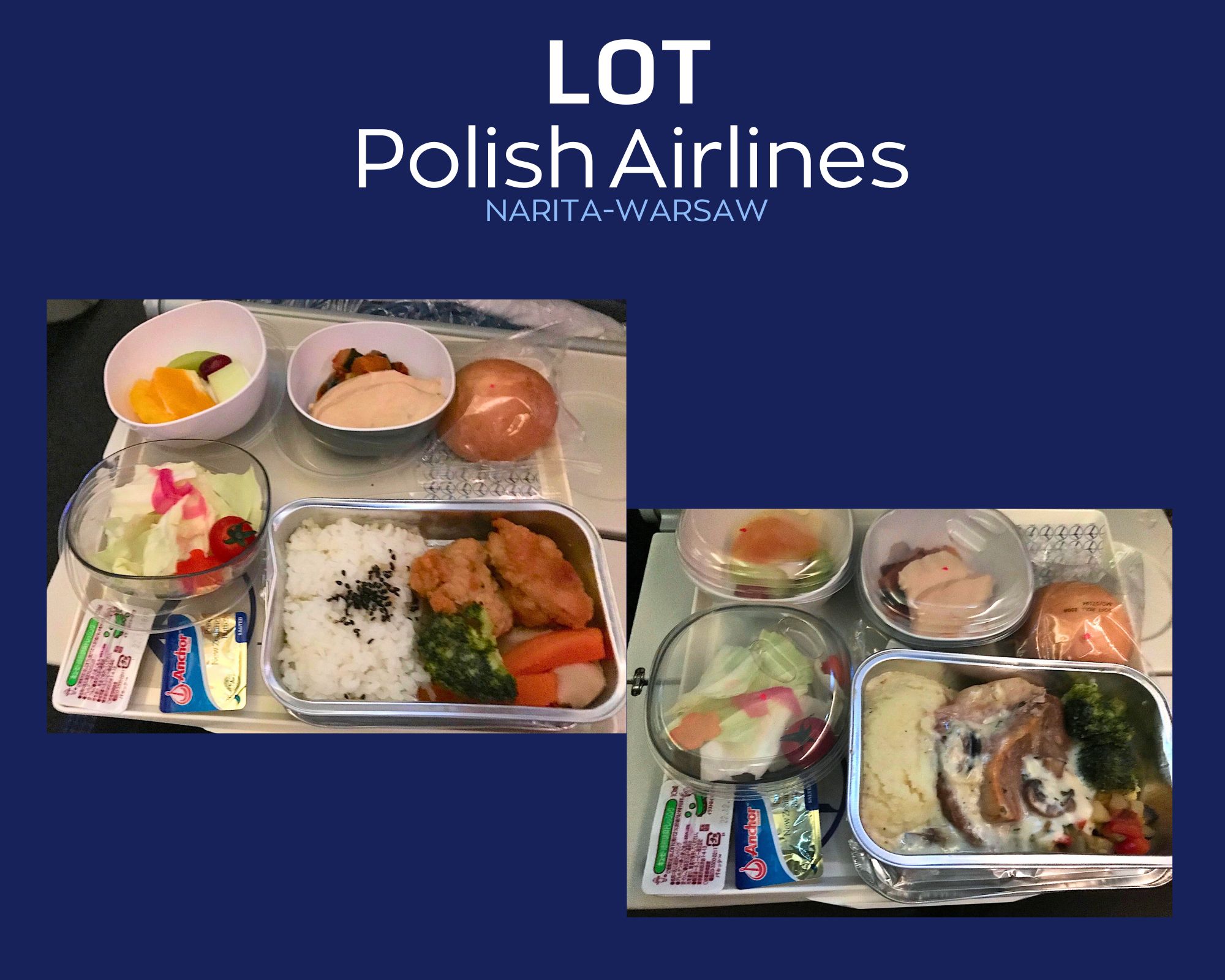 You are currently viewing ポーランド航空LOT、成田発ワルシャワ行き、エコノミークラスで出た機内食